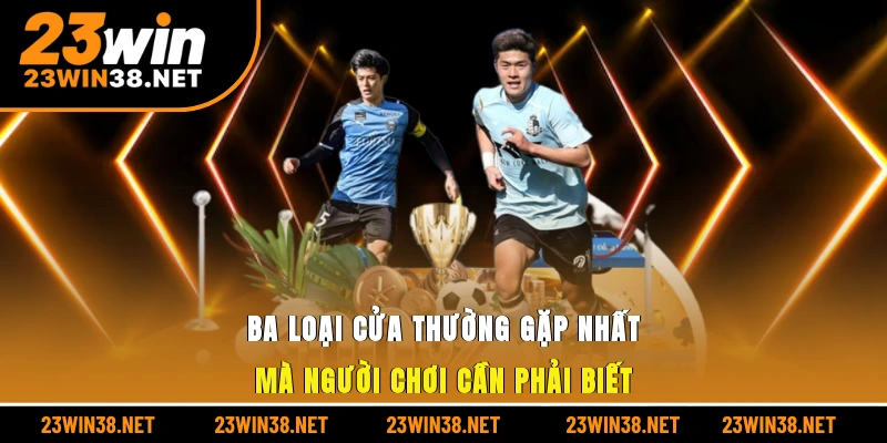 Ba loại cửa thường gặp nhất mà người chơi cần phải biết