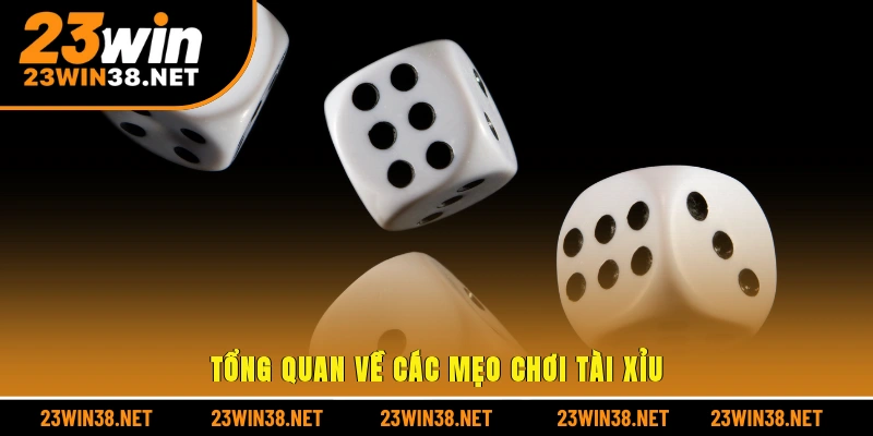 Tổng quan về các mẹo chơi tài xỉu